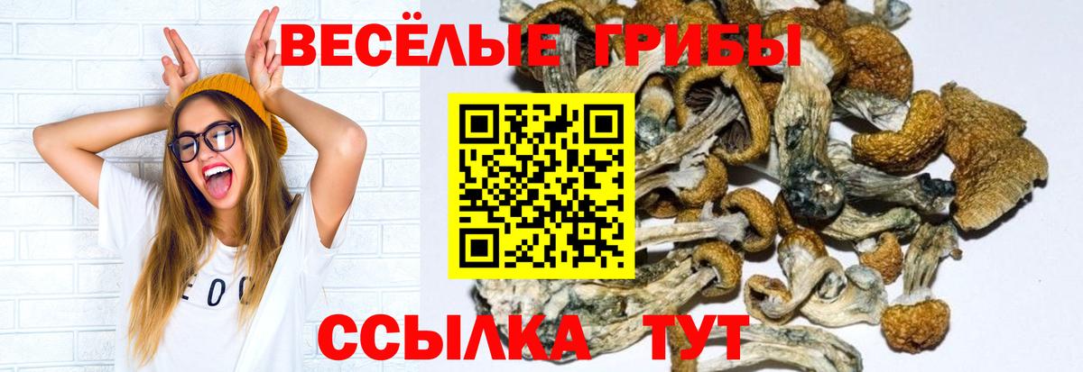 Галлюциногенные грибы ЛСД  Вход с VPN  Галлюциногенные грибы MAGIC MUSHROOMS  Урус-Мартан 