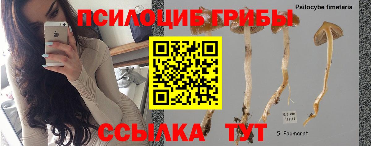 Галлюциногенные грибы ЛСД Урус-Мартан